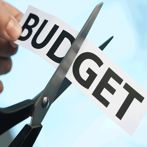 Budget Cut
