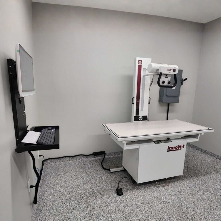 Veterinary X Ray System Installation MXR
