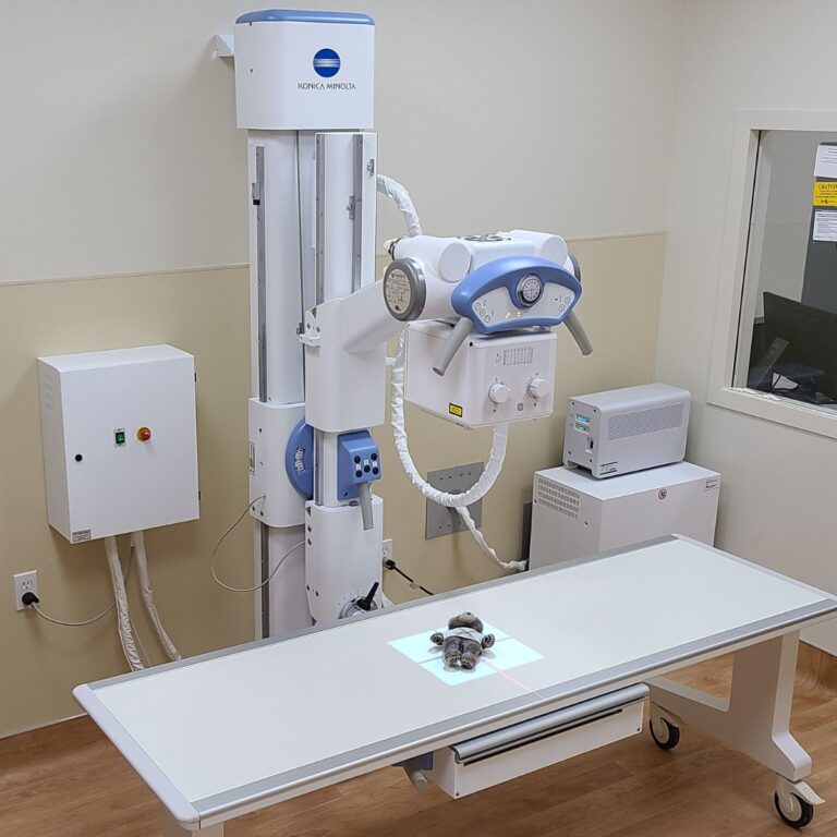 x-ray-buyers guide-teddy-bear